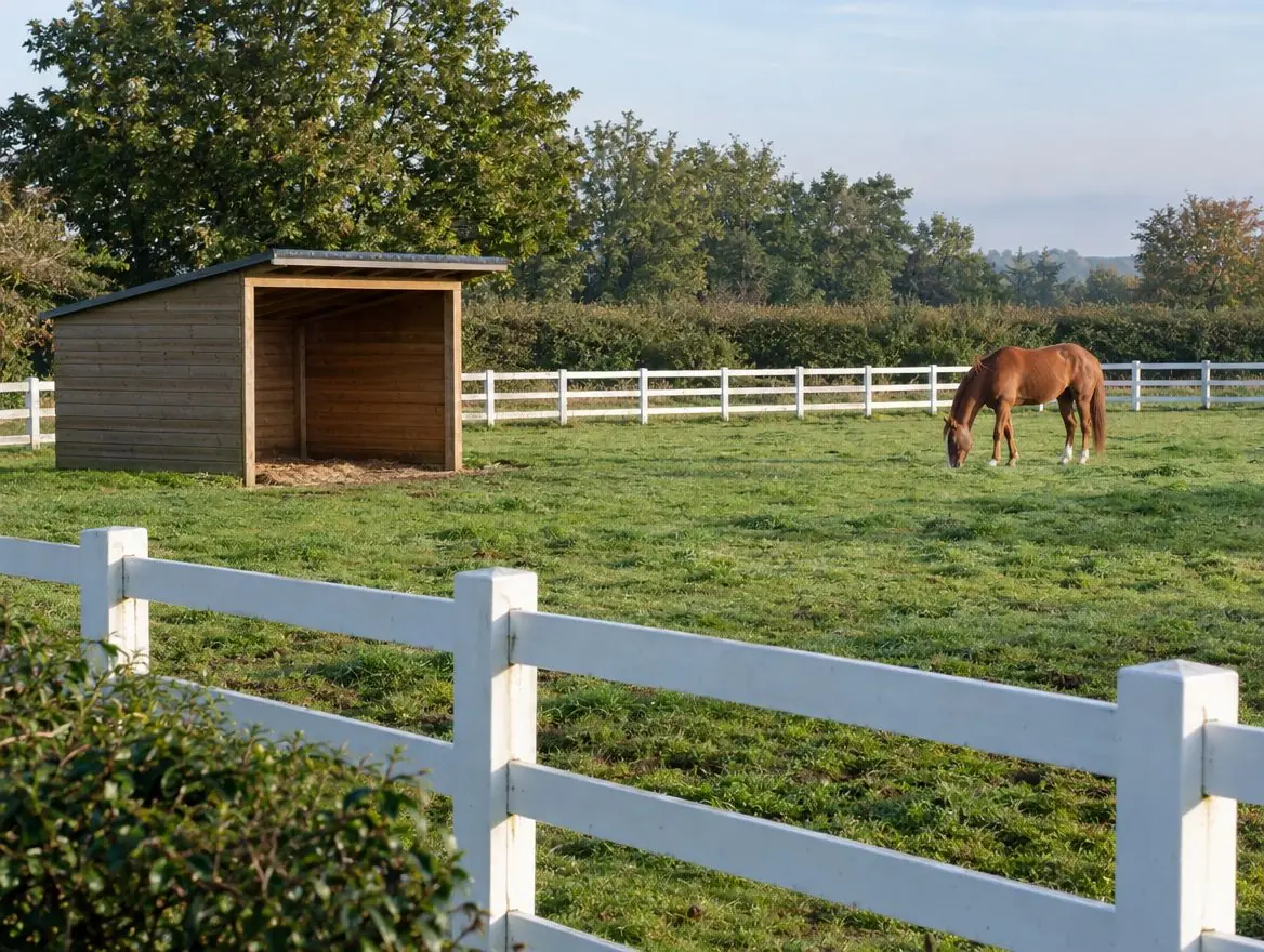 Fenced paddock with a timber field shelter and a chestnut horse grazing